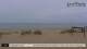 De Cocksdorp (Texel) Di. 8.9.