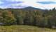 Shrewsbury, Vermont Di. 8.9.