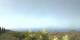 Puntagorda (La Palma) Di. 8.9.