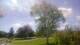 Harriman, New York Di. 8.9.