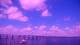 Fort Myers, Florida Mi. 9.9.