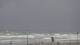 Scheveningen Mi. 9.9.