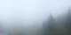 Flims Mi. 9.9.
