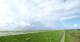 Westerhever Mi. 9.9.