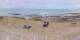 Donville-les-Bains Mi. 9.9.