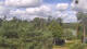 Rathenow Mi. 9.9.