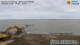 Husum Do. 10.9.