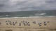 Hörnum (Sylt) Do. 10.9.