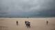 Diani Beach Fr. 11.9.
