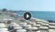 Torre Mozza Fr. 11.9.