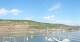 Bingen am Rhein Fr. 11.9.