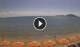 Formia Sa. 12.9.