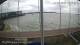 Brightlingsea Sa. 12.9.