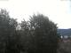 Gmund am Tegernsee So. 13.9.