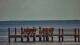 Bokeelia, Florida So. 13.9.