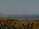 Cape Canaveral, Florida So. 13.9.