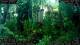 Nakhon Ratchasima (Korat) So. 13.9.