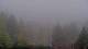 Bellevue, Washington So. 13.9.