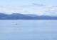 North Saanich So. 13.9.