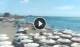 Torre Mozza So. 13.9.