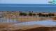 Caorle So. 13.9.