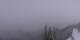 Enumclaw, Washington So. 13.9.