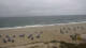 Hörnum (Sylt) So. 13.9.