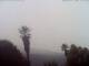 El Paso (La Palma) So. 13.9.