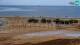 Caorle Mo. 14.9.