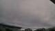 Carrum Mo. 14.9.