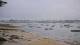 Île-Tudy Di. 15.9.
