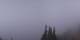 Enumclaw, Washington Di. 15.9.