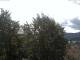 Gmund am Tegernsee Mi. 16.9.
