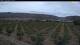 Arnedo Mi. 16.9.