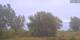 Werder (Havel) Mi. 16.9.