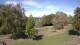 Steinbrunn Mi. 16.9.