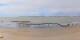 Saint-Brevin-les-Pins Do. 17.9.