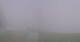 Rachau Do. 17.9.