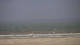 Borkum Do. 17.9.