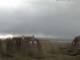 Baltrum Fr. 18.9.