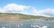 Bingen am Rhein Fr. 18.9.