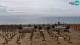 Bibione Fr. 18.9.