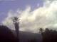 El Paso (La Palma) Fr. 18.9.