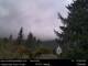 North Bend, Washington Sa. 19.9.