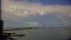 Sarasota, Florida So. 20.9.