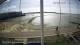 Brightlingsea So. 20.9.
