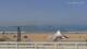 Essaouira Mo. 21.9.