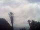 El Paso (La Palma) Mo. 21.9.