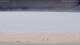 Henne Strand Mo. 28.9.