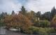 Son en Breugel Di. 29.9.